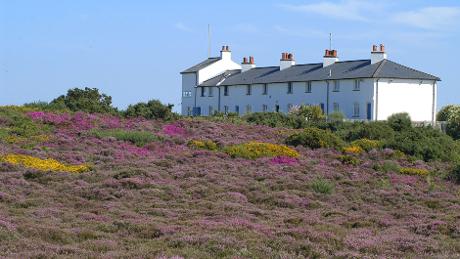 Mount Pleasant farm and Greyfriars